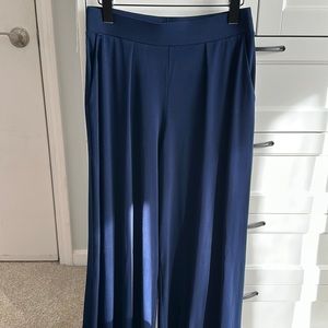 Express Palazzo Pant